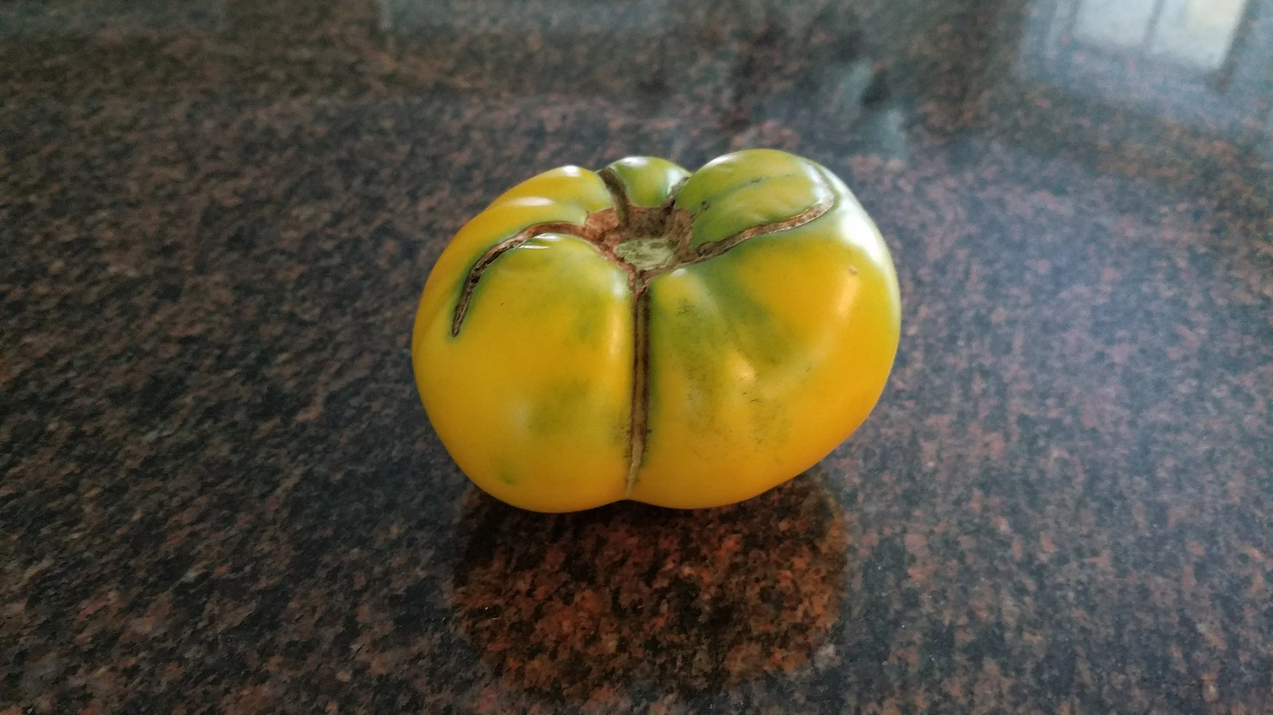 Craig LeHoullier - The 2017 Season Review - Part 5. Dwarf Tomato